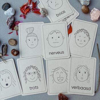 Flashcards d'émotion - Outil d'apprentissage Montessori 3