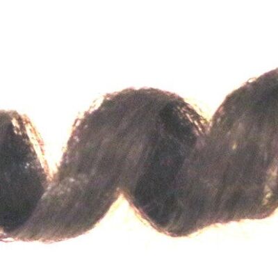 Boucles sereines - presque noires (2)