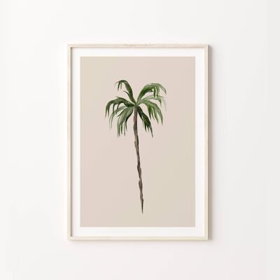 Palm Tree Tropical Illustration Jungle Wall Art Print Poster , SKU190