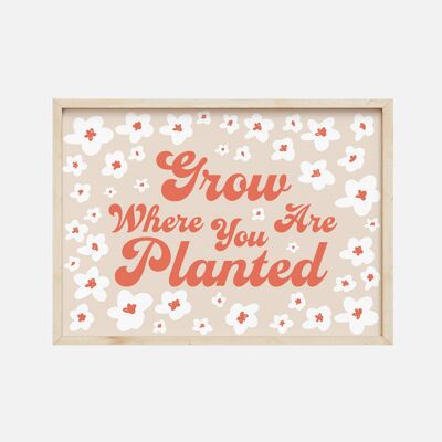 Retro Grow Where You Are Planted Flower Quote Wall Art Print , SKU205