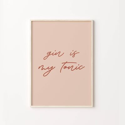 Gin Is My Tonic Pink Quote Wall Art Print Poster , SKU244