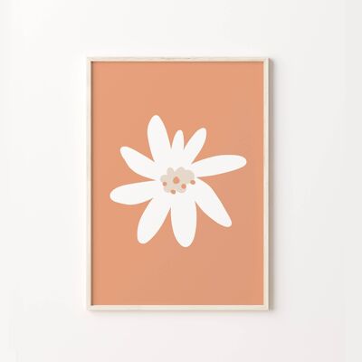 Peach and White Daisy Flower Print , SKU303