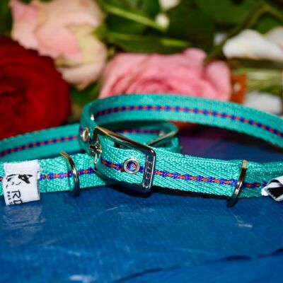 RD Petz Collare Fibbia Verde Gipsy - XS