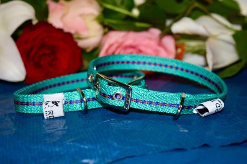 RD Petz Buckle Collar Gypsy Green - S