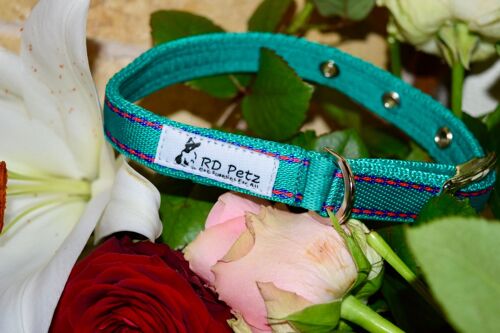 RD Petz Buckle Collar Gypsy Green - M