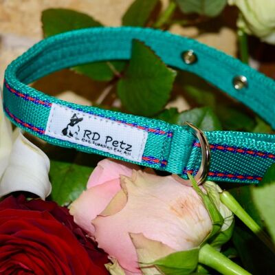 Collier Boucle RD Petz Gypsy Green - M