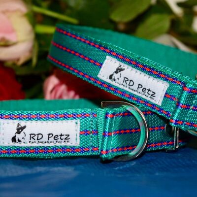 RD Petz Collar Hebilla Verde Gitano - XL