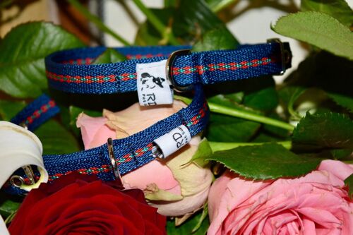 RD Petz Buckle Collar Gypsy Blue - S