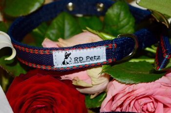 Collier Boucle RD Petz Gypsy Blue - M 1