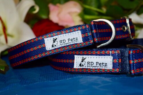 RD Petz Buckle Collar Gypsy Blue - L