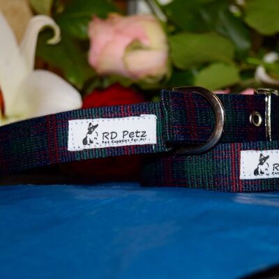 RD Petz Buckle Collar Green Tartan - L