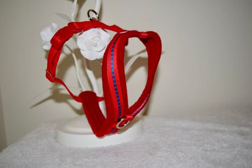 RD Petz Fleece Harness Gypsy Red - XS