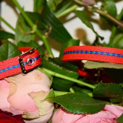 RD Petz Buckle Collar Gypsy Red - S