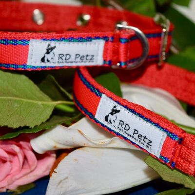 RD Petz Hebilla Collar Gypsy Red - M