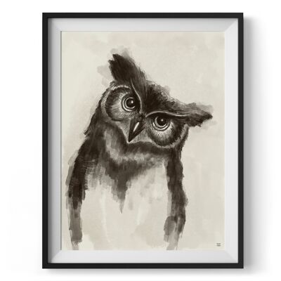 Stampa artistica da parete Brian The Owl A4