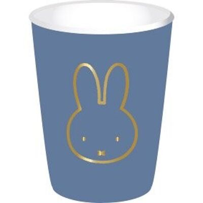 Cups Miffy Gold boy