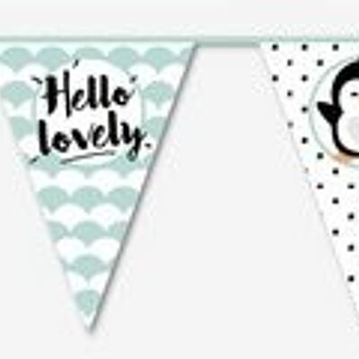 Bunting Hello Lovely