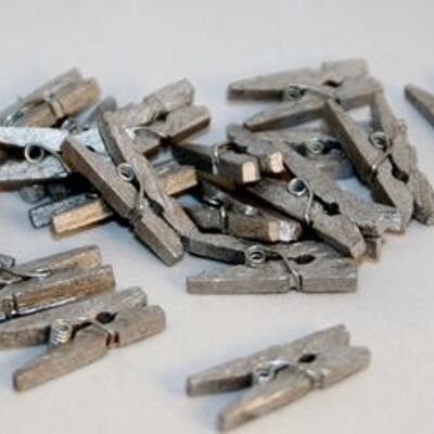 Pegs wood silver