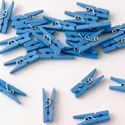 Pegs blue