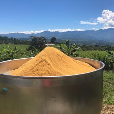 Bulk Pura Panela MOQ 1000kg / Idéal pour la fermentation