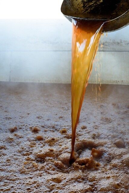 Bulk Pura Panela MOQ 1000kg / Ideal for fermentation