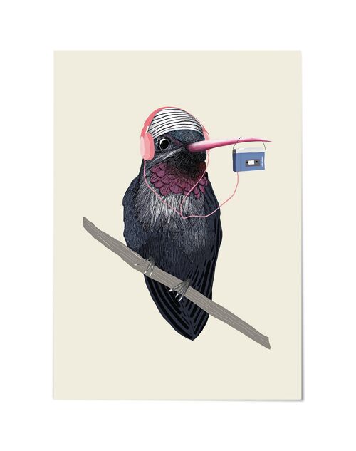 Postkarte // Motiv Kolibro`