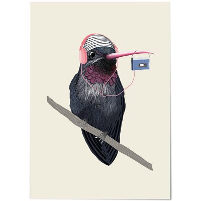 Postal // Motivo del colibrí