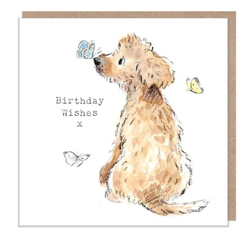 Dog Birthday Card - Quality Greeting Card - Charming illustration - 'Absolutely barking' range - Cockapoo/Labrador - Made in UK - ABE044