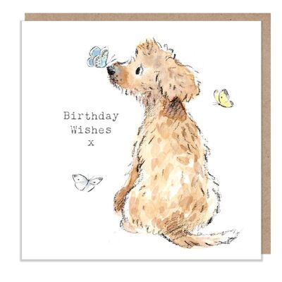 Dog Birthday Card - Quality Greeting Card - Charming illustration - 'Absolutely barking' range - Cockapoo/Labrador - Made in UK - ABE044