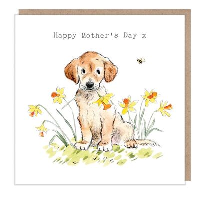 Carte de fête des mères - Carte de voeux de qualité - Illustration charmante - Gamme 'Absolutely barking' - Labrador/Golden- Retriever made in UK ABMD01