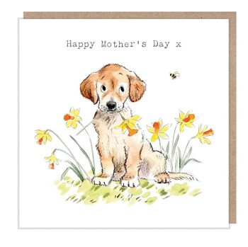Carte de fête des mères - Carte de voeux de qualité - Illustration charmante - Gamme 'Absolutely barking' - Labrador/Golden- Retriever made in UK ABMD01 1
