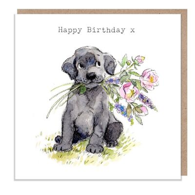 Tarjeta de cumpleaños para perros - Tarjeta de felicitación de calidad - Ilustración encantadora - Gama 'Absolutamente ladrando' - Labrador negro - Hecho en el Reino Unido - ABE042