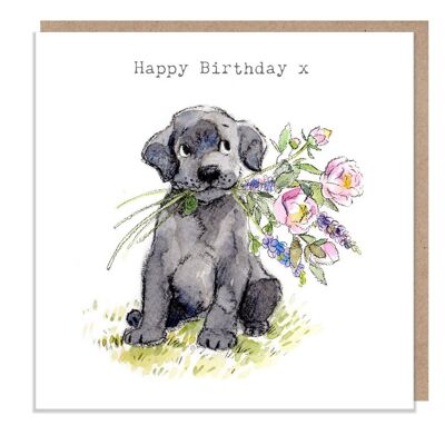 Dog Birthday Card - Quality Greeting Card - Charming illustration - 'Absolutely barking' range - Black Labrador - Made in UK - ABE042