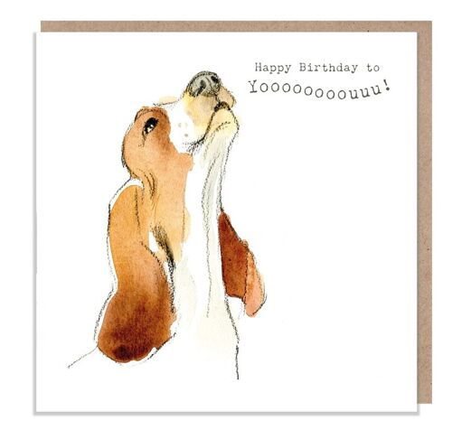Dog Birthday Card - Quality Greeting Card -Charming illustration -cute dog- 'Absolutely barking' range - Basset Hound - Made in UK - ABE047