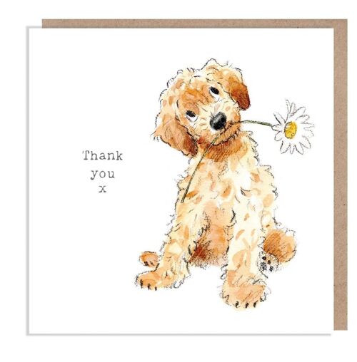Thank You Card - Quality Greeting Card - Charming Dog illustration - 'Absolutely barking' range - Cockapoo - Made in UK - ABE014