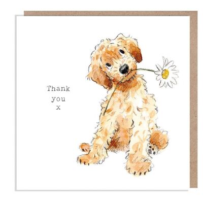 Tarjeta de agradecimiento - Tarjeta de felicitación de calidad - Ilustración de perro encantador - Gama 'Absolutamente ladrando' - Cockapoo - Hecho en el Reino Unido - ABE014