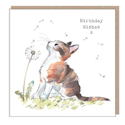 Carte d'anniversaire chat - Carte de vœux de qualité - Illustration charmante - Gamme 'Pawsitively Purrect' - Chat mignon avec pissenlit - Fabriqué au Royaume-Uni-EPP06