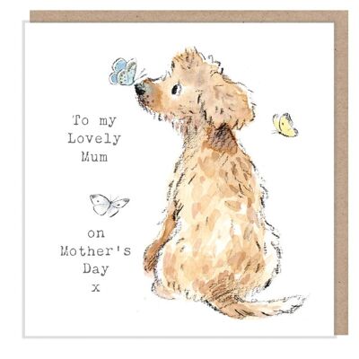 Biglietto per la festa della mamma - Biglietto di auguri di qualità - Illustrazione affascinante - Gamma "Absolutely barking" - Cockapoo - Prodotto nel Regno Unito ABMD02