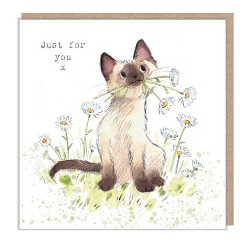 Cat Birthday Card - Quality Greeting Card - Charming illustration - 'Pawsitively Purrect' range - Cat with Daisies - Made in UK - EPP03