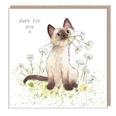 Tarjeta de cumpleaños de gato - Tarjeta de felicitación de calidad - Ilustración encantadora - Gama 'Pawsitively Purrect' - Gato con margaritas - Hecho en el Reino Unido - EPP03