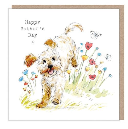 Mother's Day Card -Quality Greeting Card - Charming illustration - 'Absolutely barking' range - Cockapoo - made in UK ABMD04