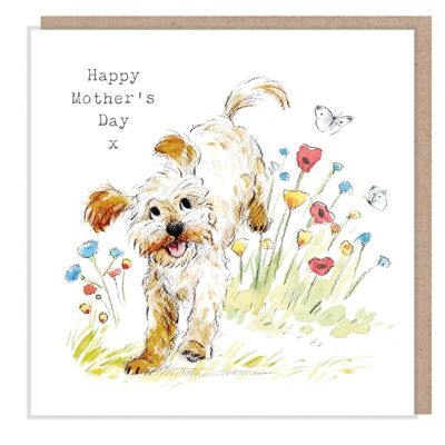 Carte de fête des mères - Carte de voeux de qualité - Illustration charmante - Gamme 'Absolutely barking' - Cockapoo - made in UK ABMD04