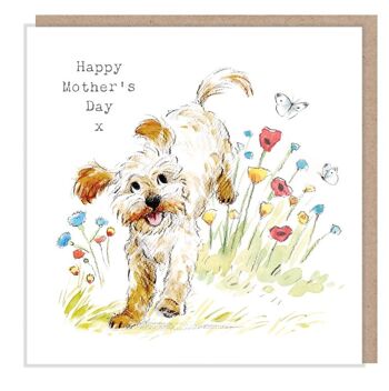 Carte de fête des mères - Carte de voeux de qualité - Illustration charmante - Gamme 'Absolutely barking' - Cockapoo - made in UK ABMD04 1