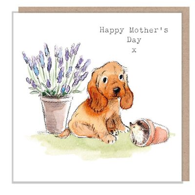 Tarjeta del día de la madre - Tarjeta de felicitación de calidad - Ilustración encantadora - Gama 'Absolutamente ladrando' - Cocker Spaniel - hecho en el Reino Unido ABMD05