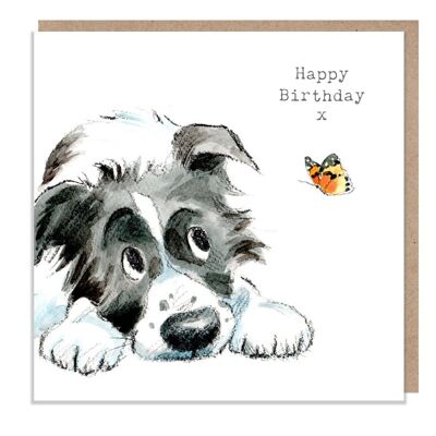 Biglietto di compleanno per cani - Biglietto di auguri di qualità - Illustrazione affascinante - Cane carino - Gamma "Absolutely barking" - Cane Collie - Prodotto nel Regno Unito - ABE045