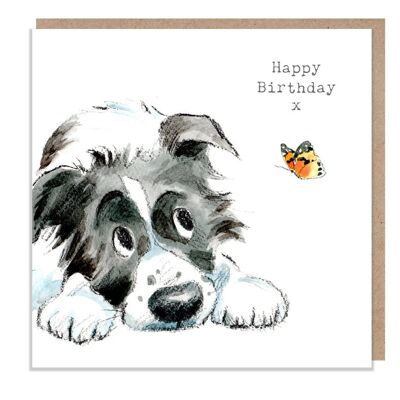 Dog Birthday Card - Quality Greeting Card - Charming illustration - cute dog- 'Absolutely barking' range - Collie Dog - Made in UK - ABE045