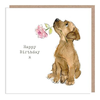 Dog Birthday Card - Quality Greeting Card - Charming illustration - 'Absolutely barking' range - Chocolate Labrador - Made in UK - ABE01