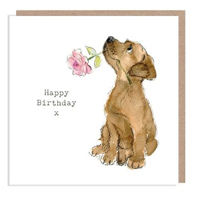 Biglietto di compleanno per cani - Biglietto di auguri di qualità - Illustrazione affascinante - Gamma 'Absolutely barking' - Chocolate Labrador - Made in UK - ABE01