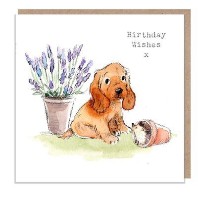 Dog Birthday Card - Quality Greeting Card - Charming illustration - 'Absolutely barking' range - Cocker spaniel- Made in UK - ABE040