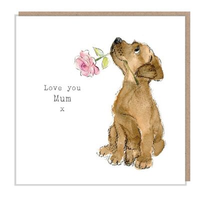 Anniversaire de maman - Je t'aime maman - Carte de voeux de qualité - Illustration charmante - Gamme 'Absolutely barking' - Labrador - Fabriqué au Royaume-Uni - ABE015
